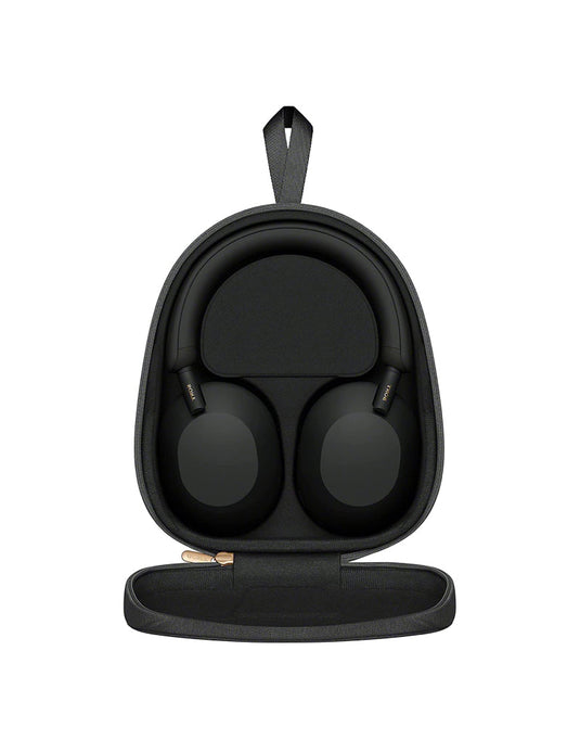 Link headphone WiFi 6 mesh