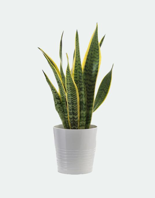 Artificial potted plant