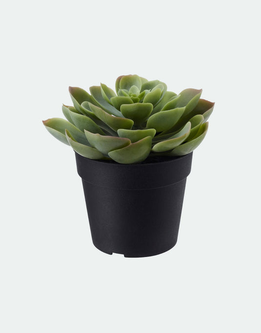 Fejka artificial plant