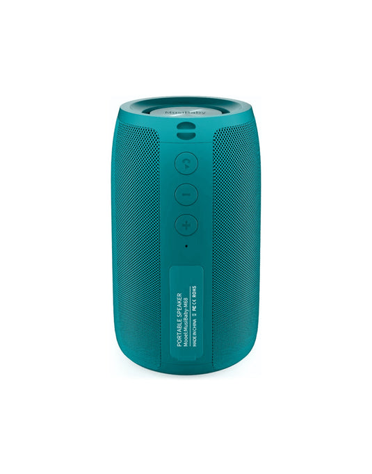 Wireless speaker dual pairing bluetooth 5.0