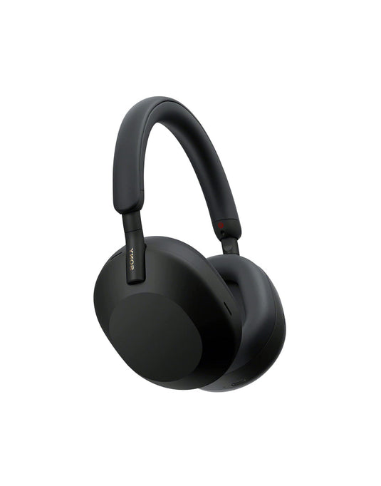 Link headphone WiFi 6 mesh