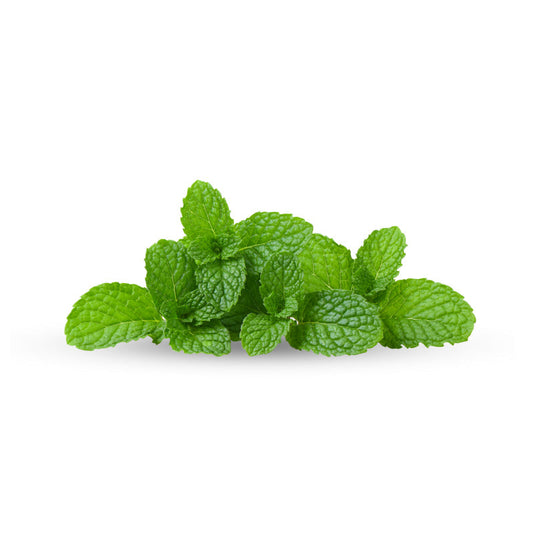Mint leaves