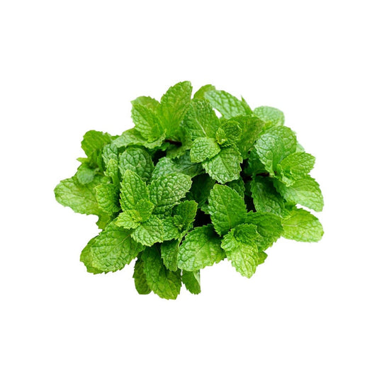 Mint leaves